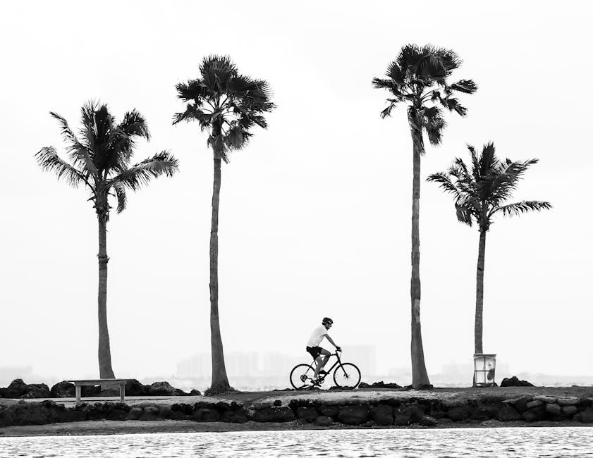 Bike Accident Injury Lawyer Near Me – Your Reliable Partner in Recovery