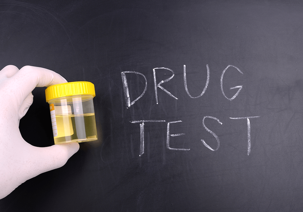 Temporary Halt to Florida’s Welfare Drug Testing Law